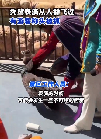 微信截图_20250324145456