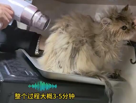 QQ截图20250325150003