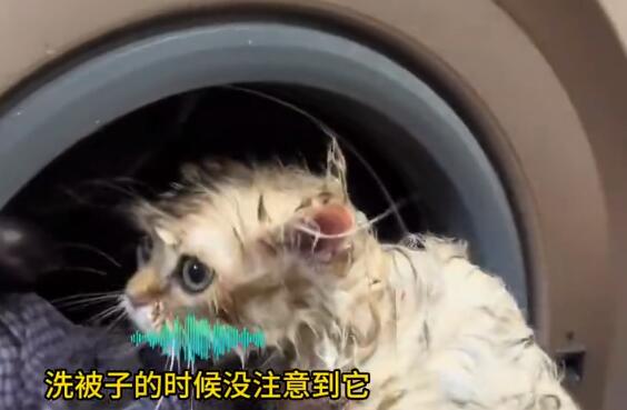QQ截图20250325145952