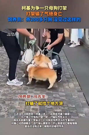 微信截图_20250326151706