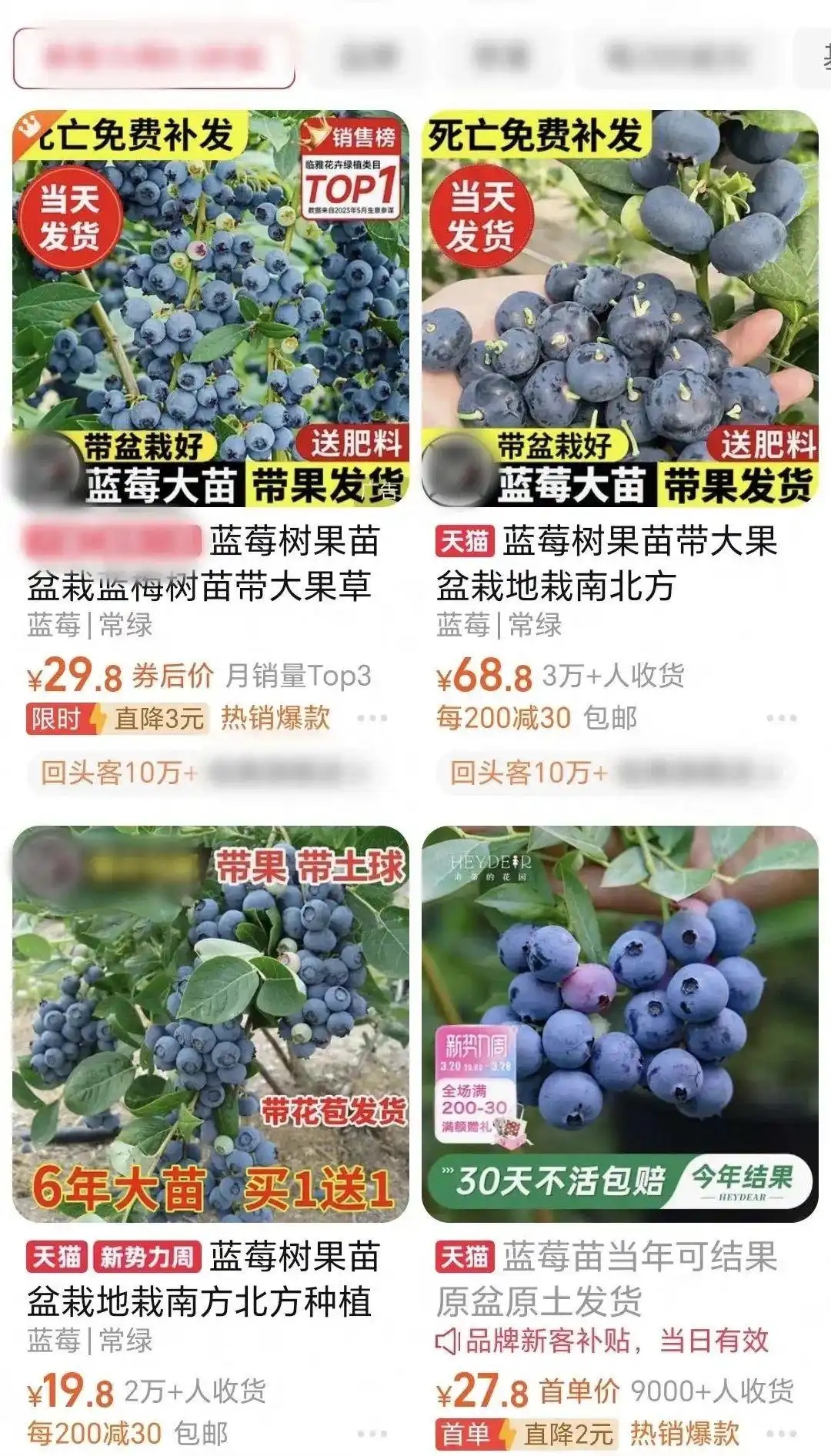 蓝莓价格大跳水！以前上百元一斤，现在9.9元一盒