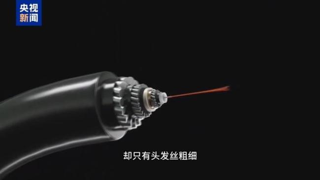 95%以上国际通信数据竟来自海底 细光纤撑起全球通信