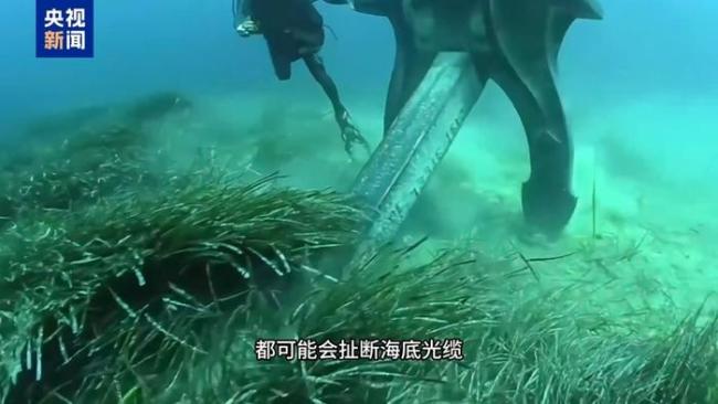 95%以上国际通信数据竟来自海底 细光纤撑起全球通信