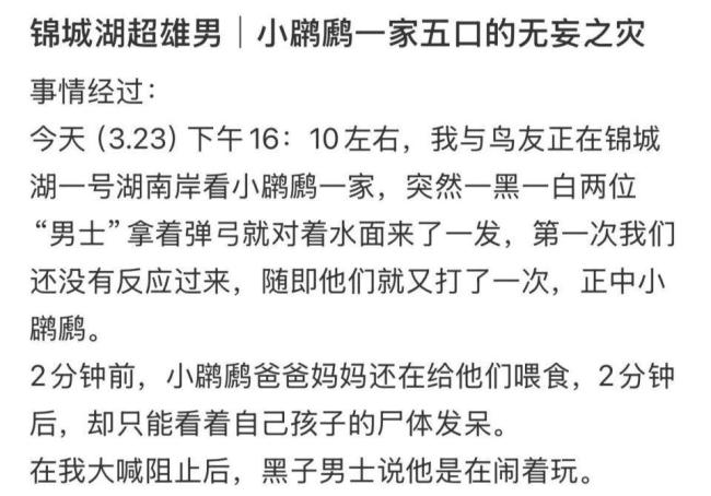 男子用弹弓击杀保护动物 官方回应 已联系公安调查核实