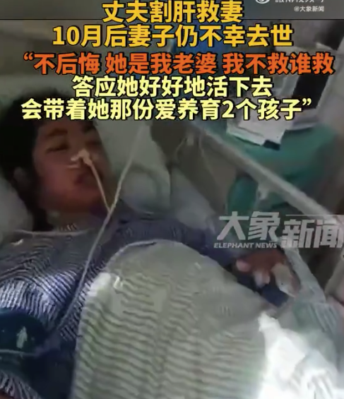 丈夫割肝救妻维持10个月妻子去世：不后悔，她是我老婆，我不救谁救