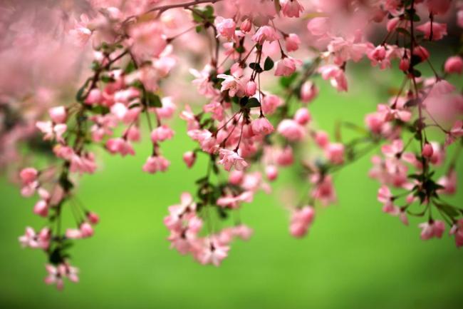 俗语“三月三无雨，六月六难活” 什么意思？ 预示庄稼收成不佳
