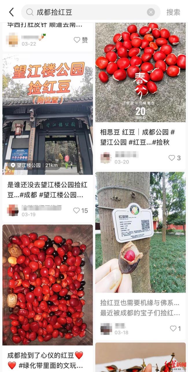 成都