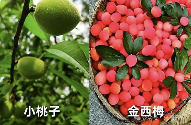 盘点水果界“大忽悠”：别让名字骗了你的钱包和健康