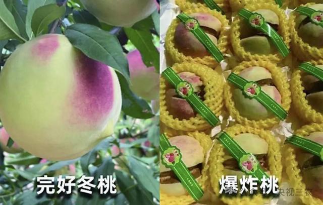 盘点水果界“大忽悠”：别让名字骗了你的钱包和健康