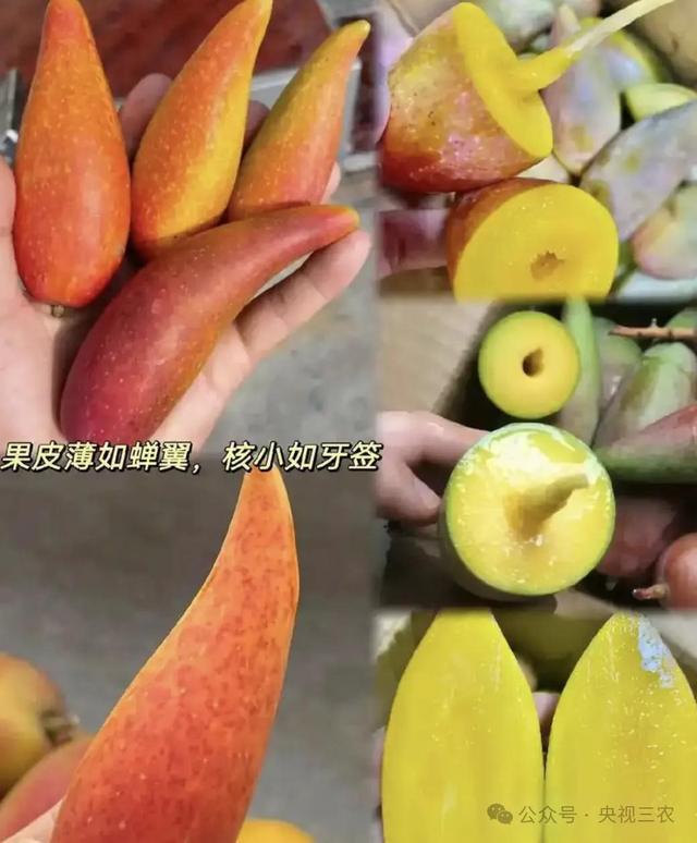 盘点水果界“大忽悠”：别让名字骗了你的钱包和健康