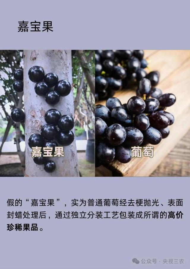 盘点水果界“大忽悠”：别让名字骗了你的钱包和健康