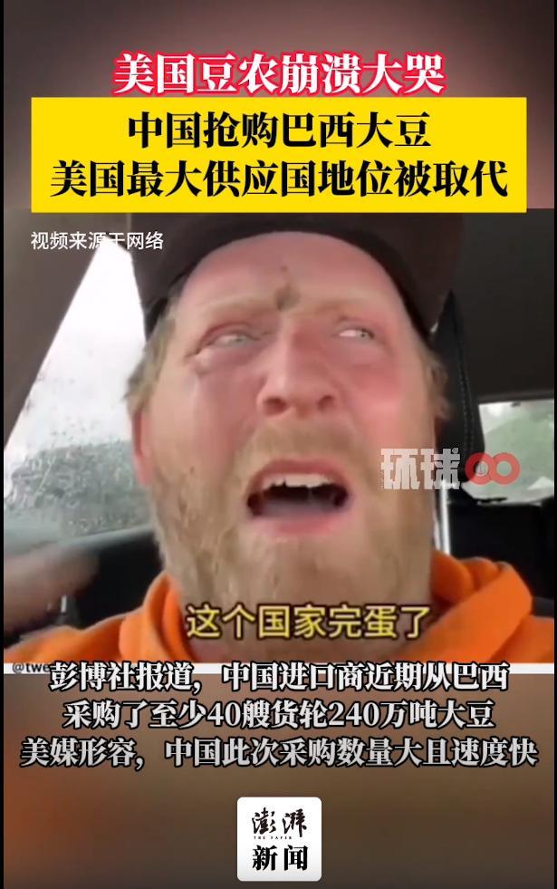 美国豆农哭了：这个国家完蛋了 中国转向巴西大豆