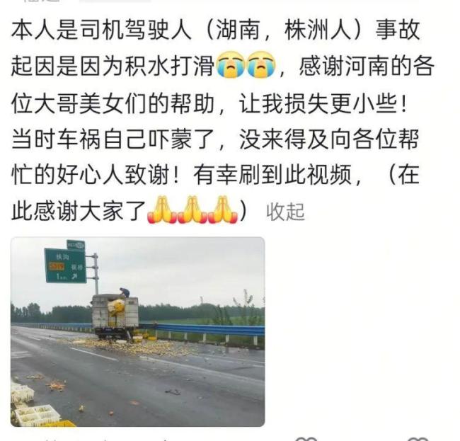 拉小鸡的货车出事故鸡崽散落一地 好心人齐帮忙捡拾