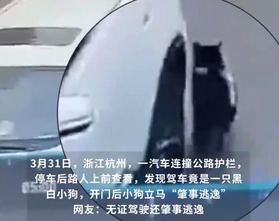 QQ截图20250402092105
