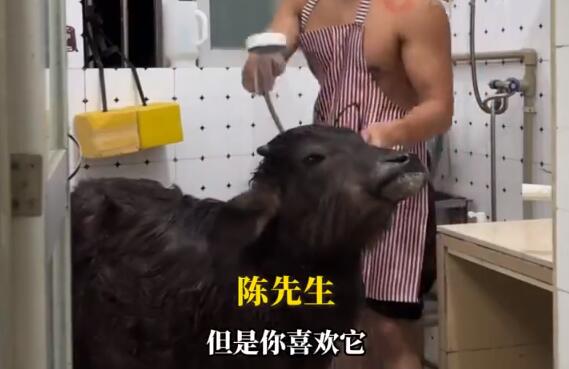 QQ截图20250402144036