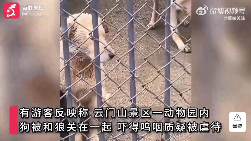 微信截图_20250407104849