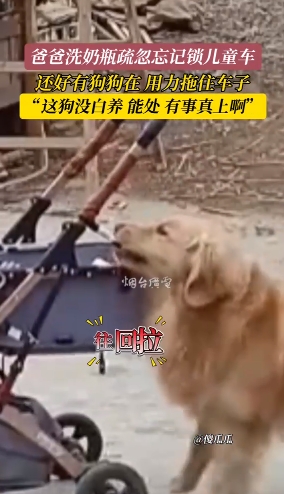微信截图_20250407145608