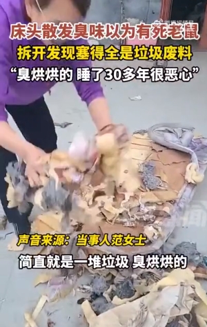 微信截图_20250408090852