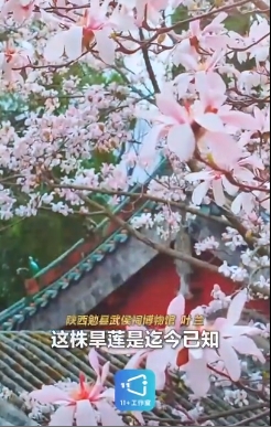 微信截图_20250410160123