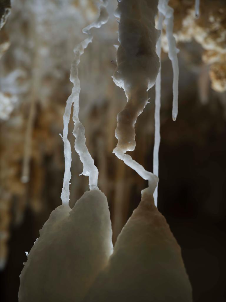罕见！贵州遵义深山发现4.8亿年“地下水晶宫”