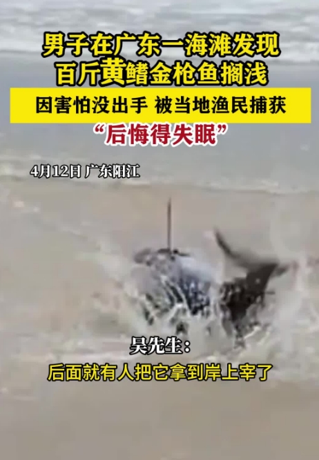 微信截图_20250414094345