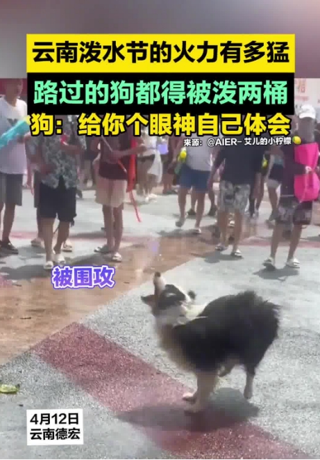 微信截图_20250414145121