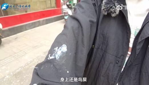 QQ截图20250414162210