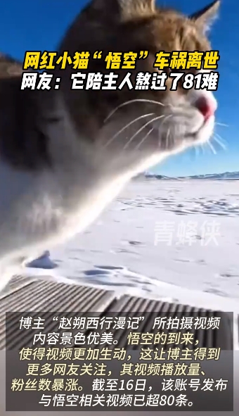 微信截图_20250417111539