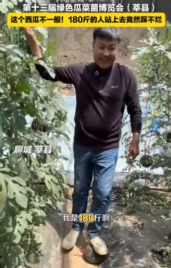 微信截图_20250417152601
