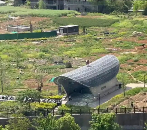 微信截图_20250418091345