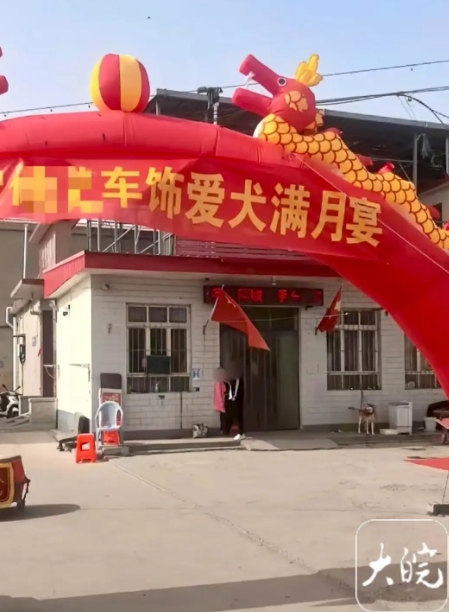 当事人回应给狗办满月宴：不是炒作，只是爱狗，因高兴图个热闹