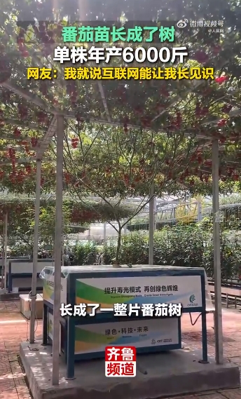 微信截图_20250422091659