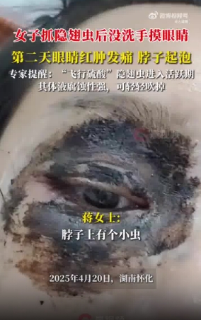 微信截图_20250424164753