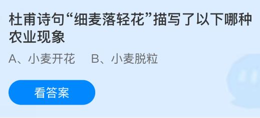 杜甫诗句细麦落轻花描写了以下哪种农业现象？蚂蚁庄园课堂答案最新4月29日