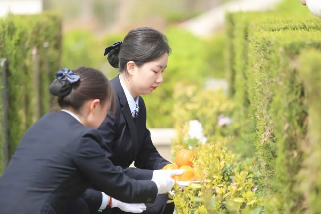 洛阳00后女孩从事扫墓职业 勇敢选择新兴职业