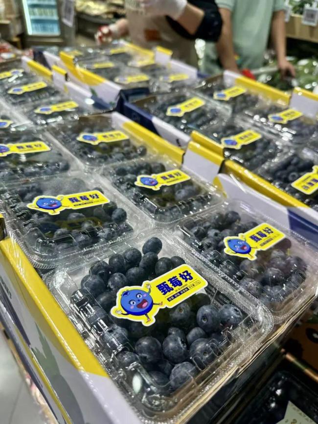 为何国产蓝莓价格大跳水 产量激增带动降价潮