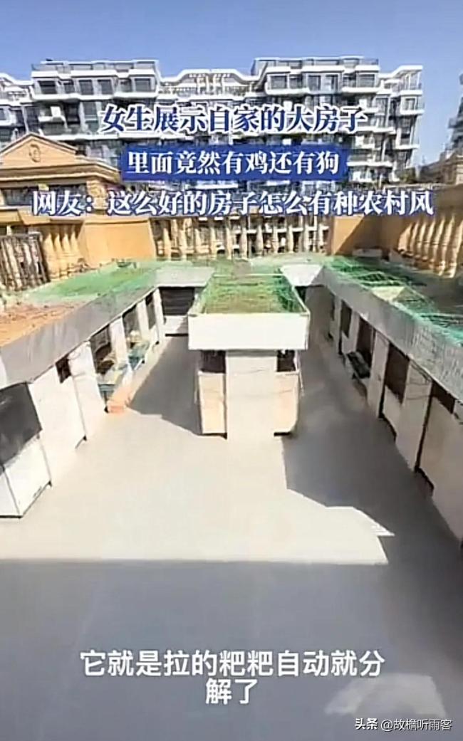 女生自家大房子里有鸡还有狗，还没有一点臭味！