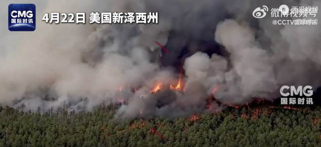 美新泽西州东部地区发生山火