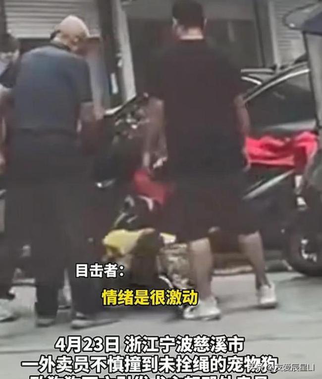 外卖员撞死未牵绳宠物狗被打 遛狗不栓绳祸事频发