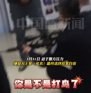 男子花2000购买气枪非法打鸟嘴硬称没有 警方逼问后才承认