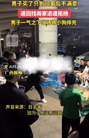男子在夜市摔狗致死当地警方已介入 律师：涉嫌2项违法 