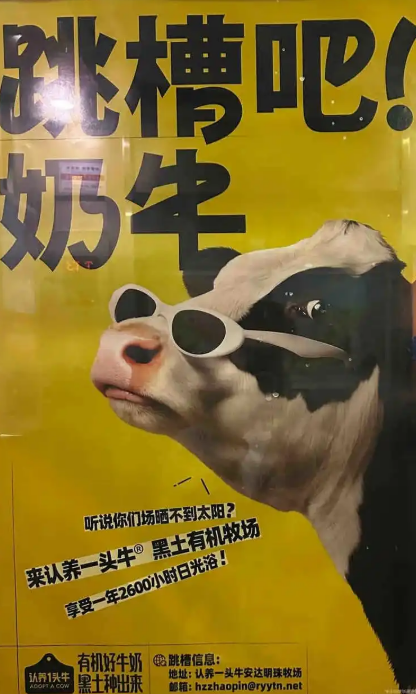 认养一头牛广告被指嘲讽打工人