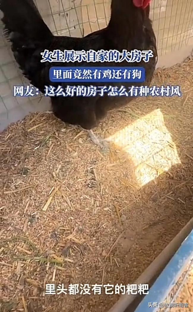 女生自家大房子里有鸡还有狗，还没有一点臭味！