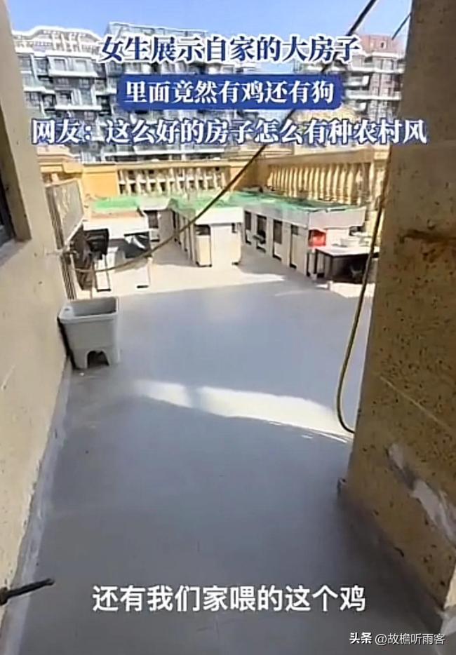女生自家大房子里有鸡还有狗，还没有一点臭味！