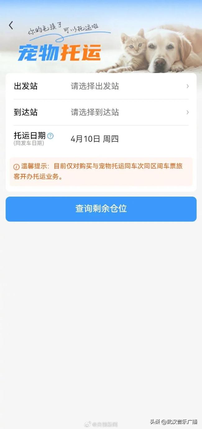 宠物猫狗能坐高铁了 12306推出宠物托运功能