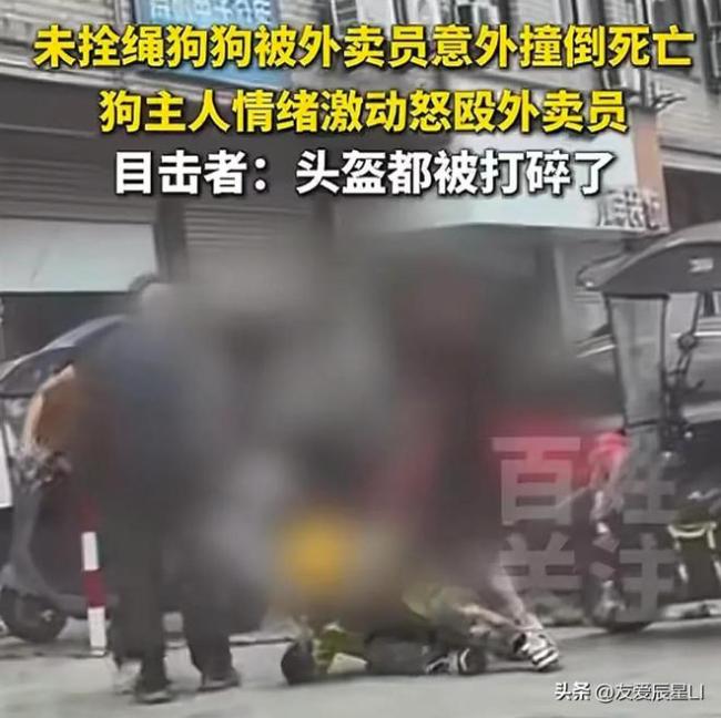 外卖员撞死未牵绳宠物狗被打 遛狗不栓绳祸事频发