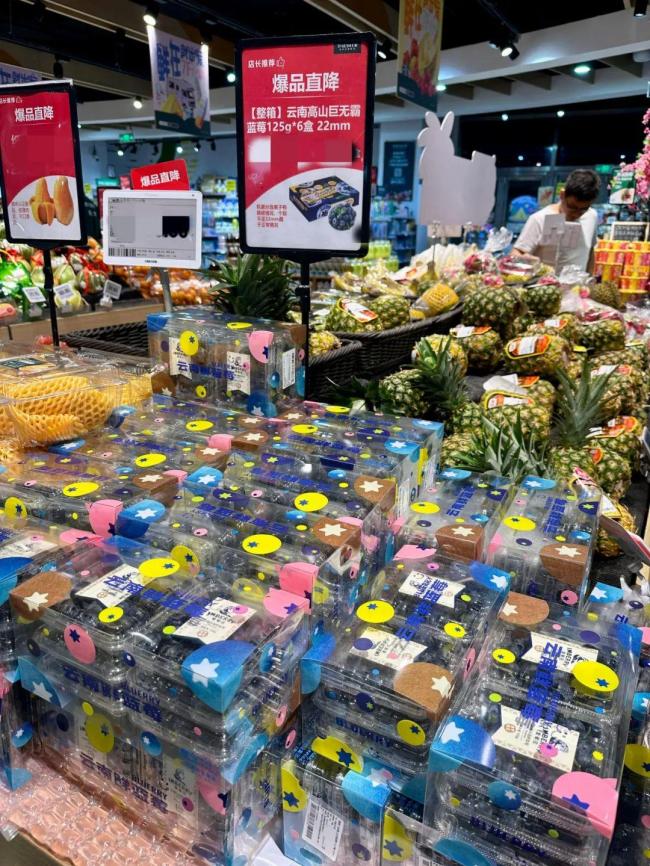 为何国产蓝莓价格大跳水 产量激增带动降价潮