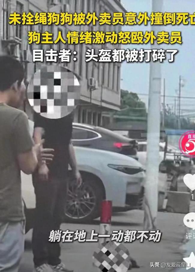外卖员撞死未牵绳宠物狗被打