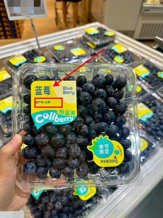 为何国产蓝莓价格大跳水 产量激增带动降价潮