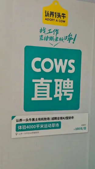 认养一头牛广告被指嘲讽打工人 创意引发争议